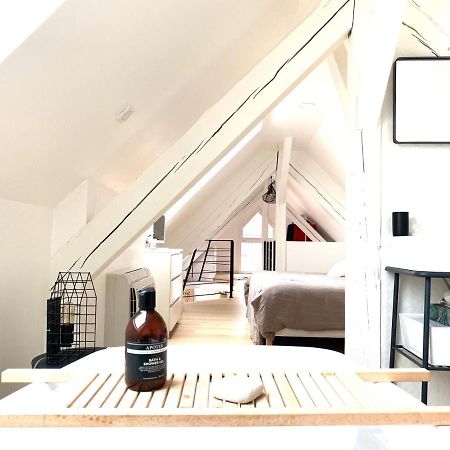La Cle Des Toits Appartement Colmar Buitenkant foto