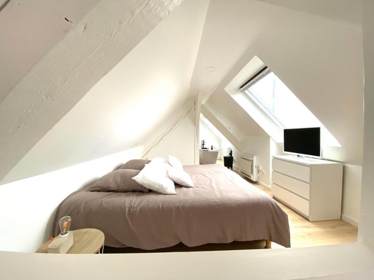 La Cle Des Toits Appartement Colmar Buitenkant foto