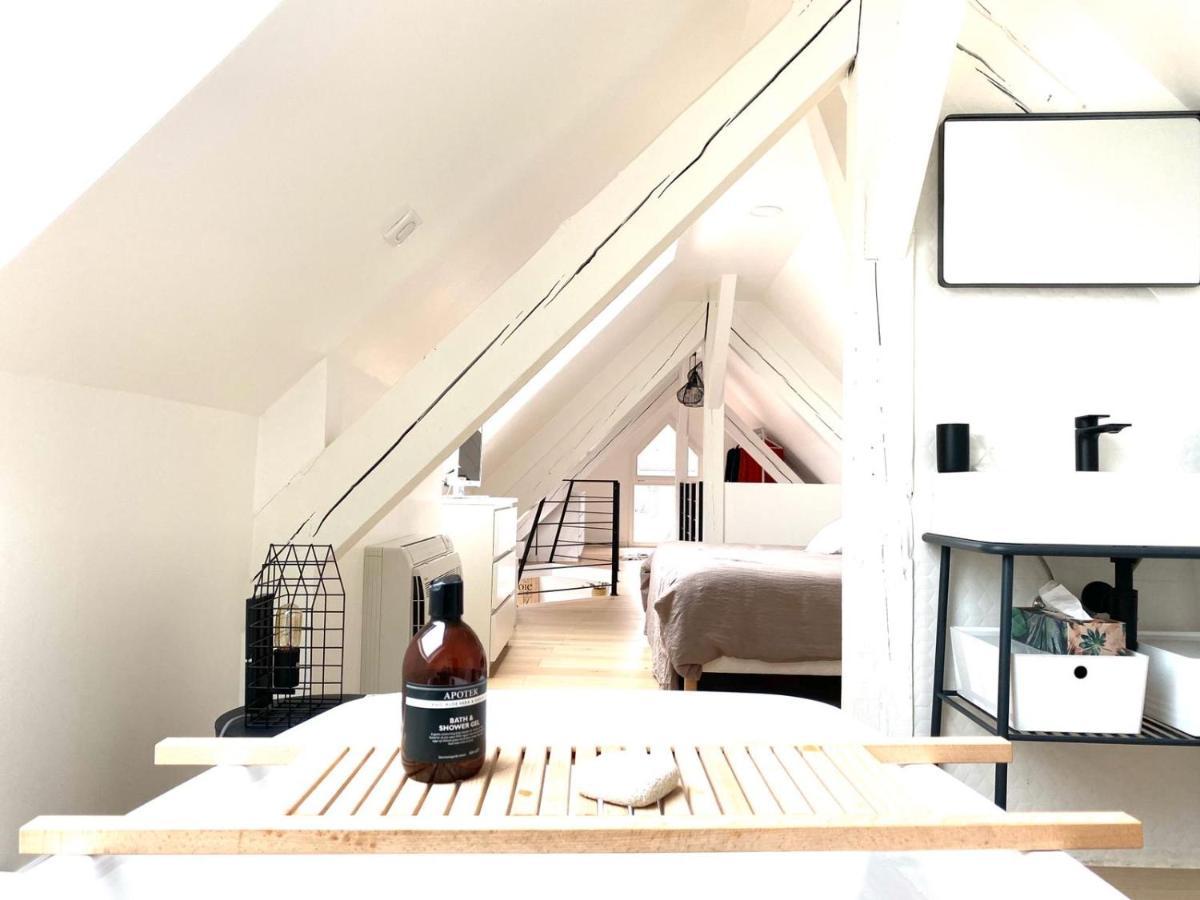 La Cle Des Toits Appartement Colmar Buitenkant foto
