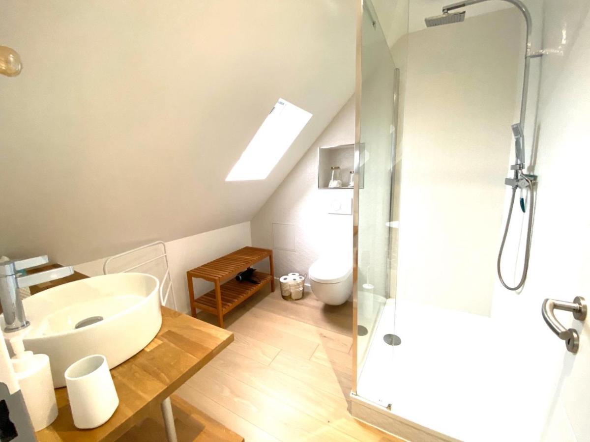 La Cle Des Toits Appartement Colmar Buitenkant foto
