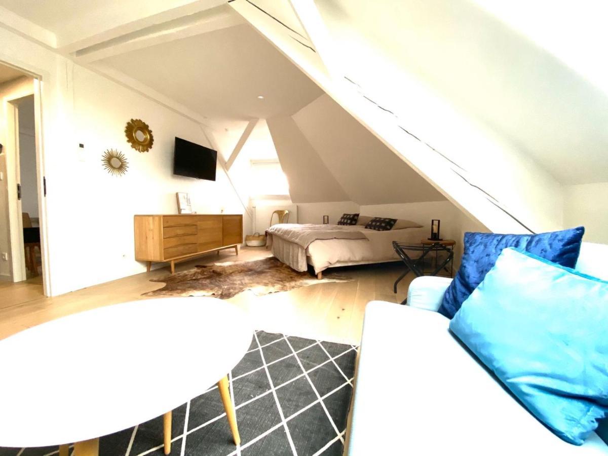 La Cle Des Toits Appartement Colmar Buitenkant foto
