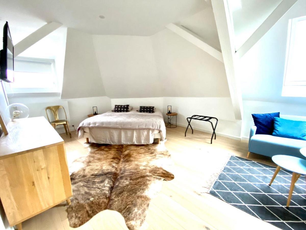 La Cle Des Toits Appartement Colmar Buitenkant foto
